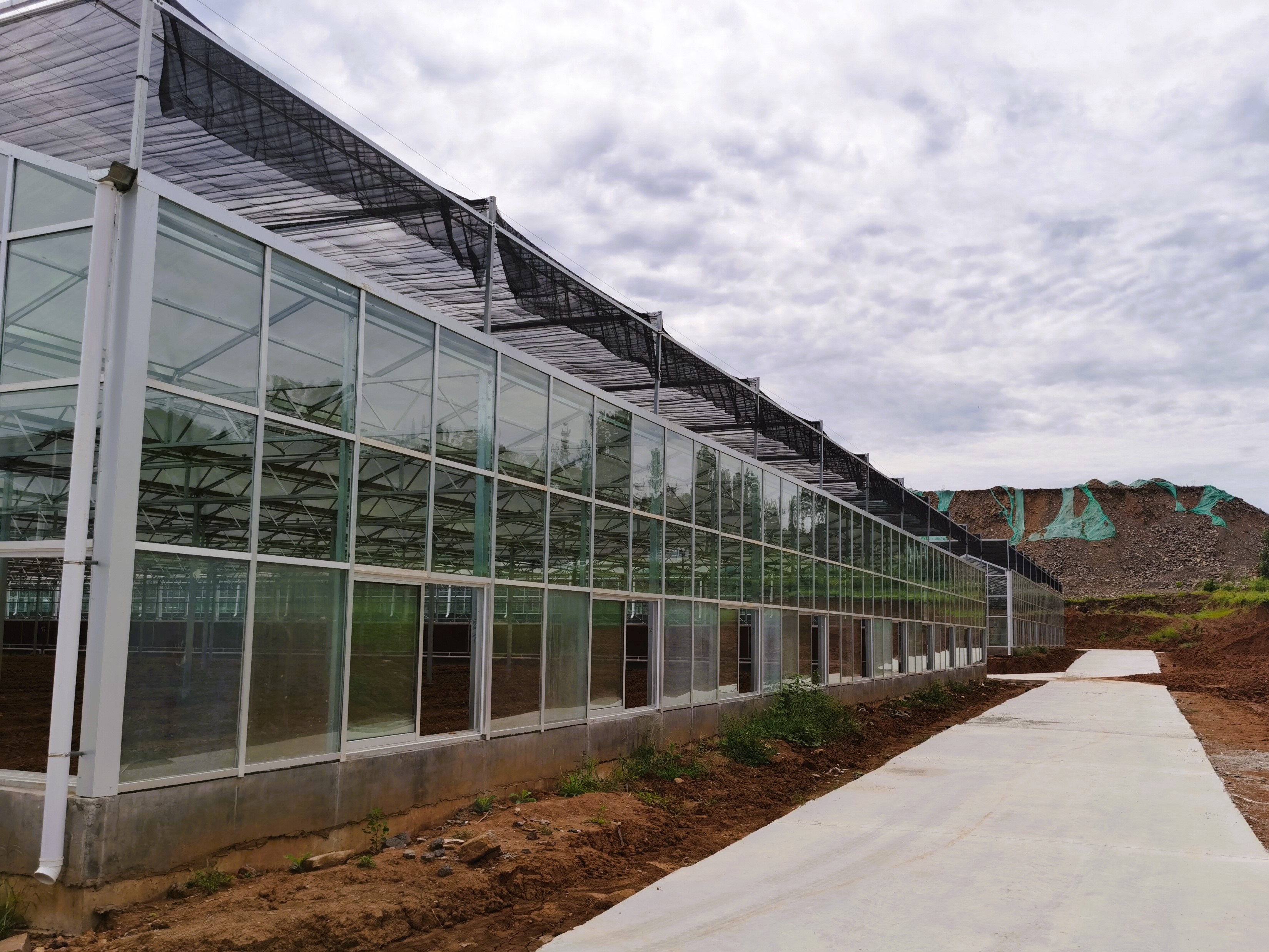 Greenhouse Panel