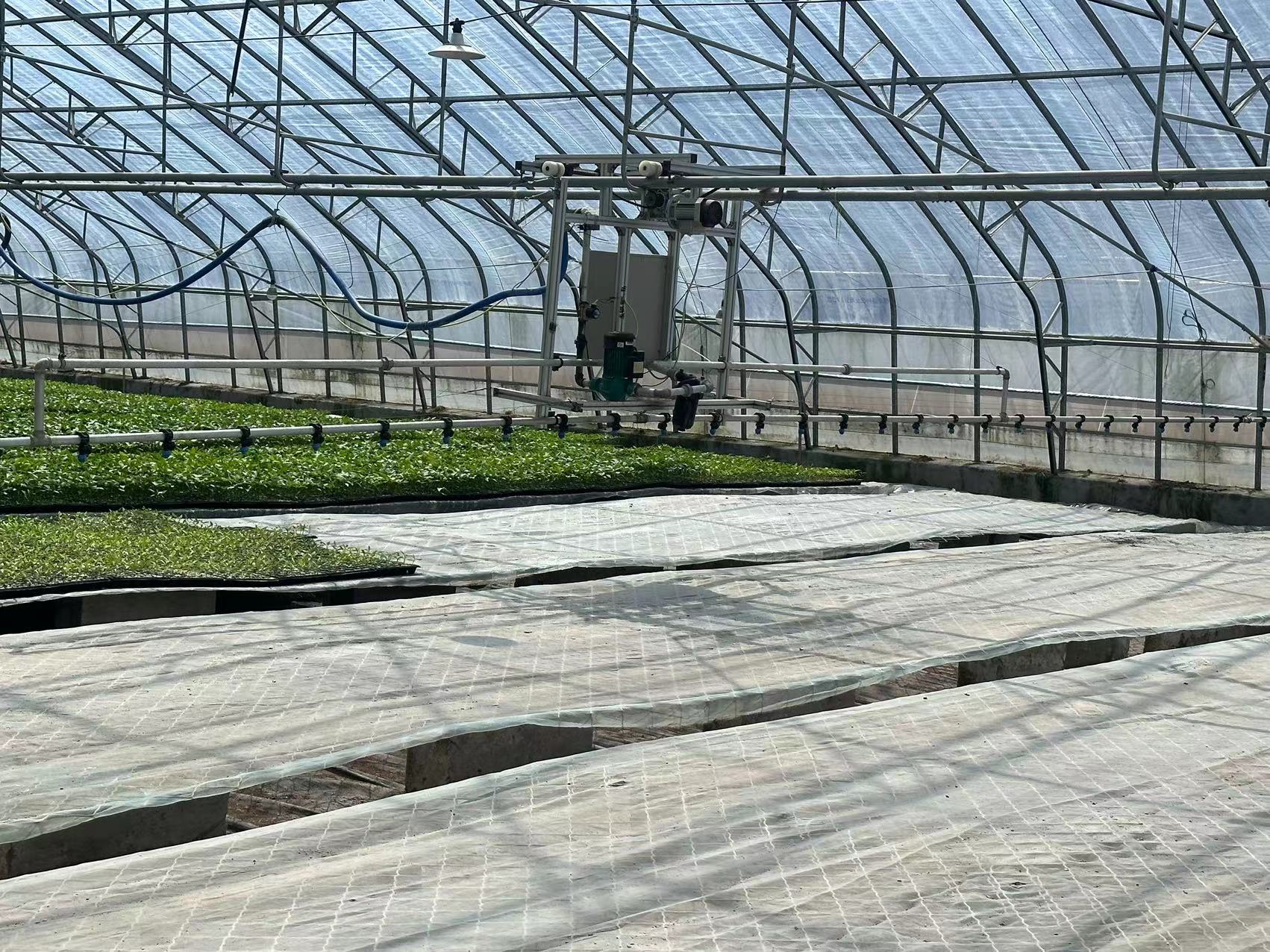 Agriculture Greenhouse