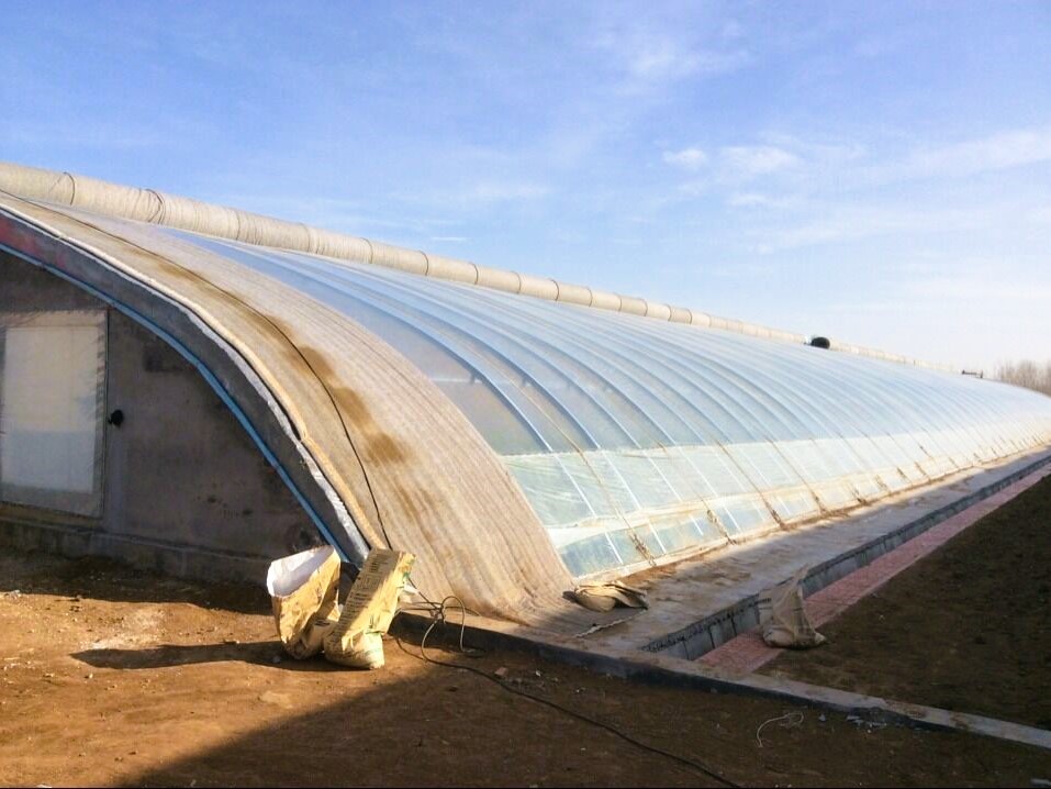 Plastic Film Solar Greenhouse For Tomato