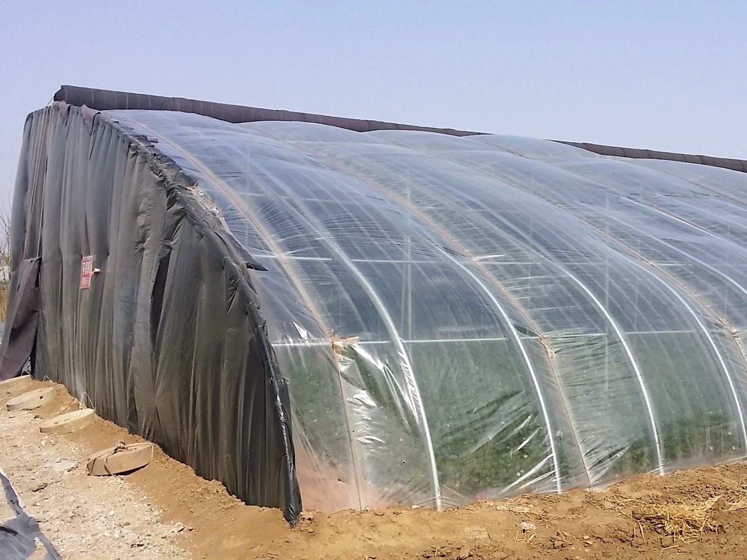 Plastic Film Solar Greenhouse For Tomato