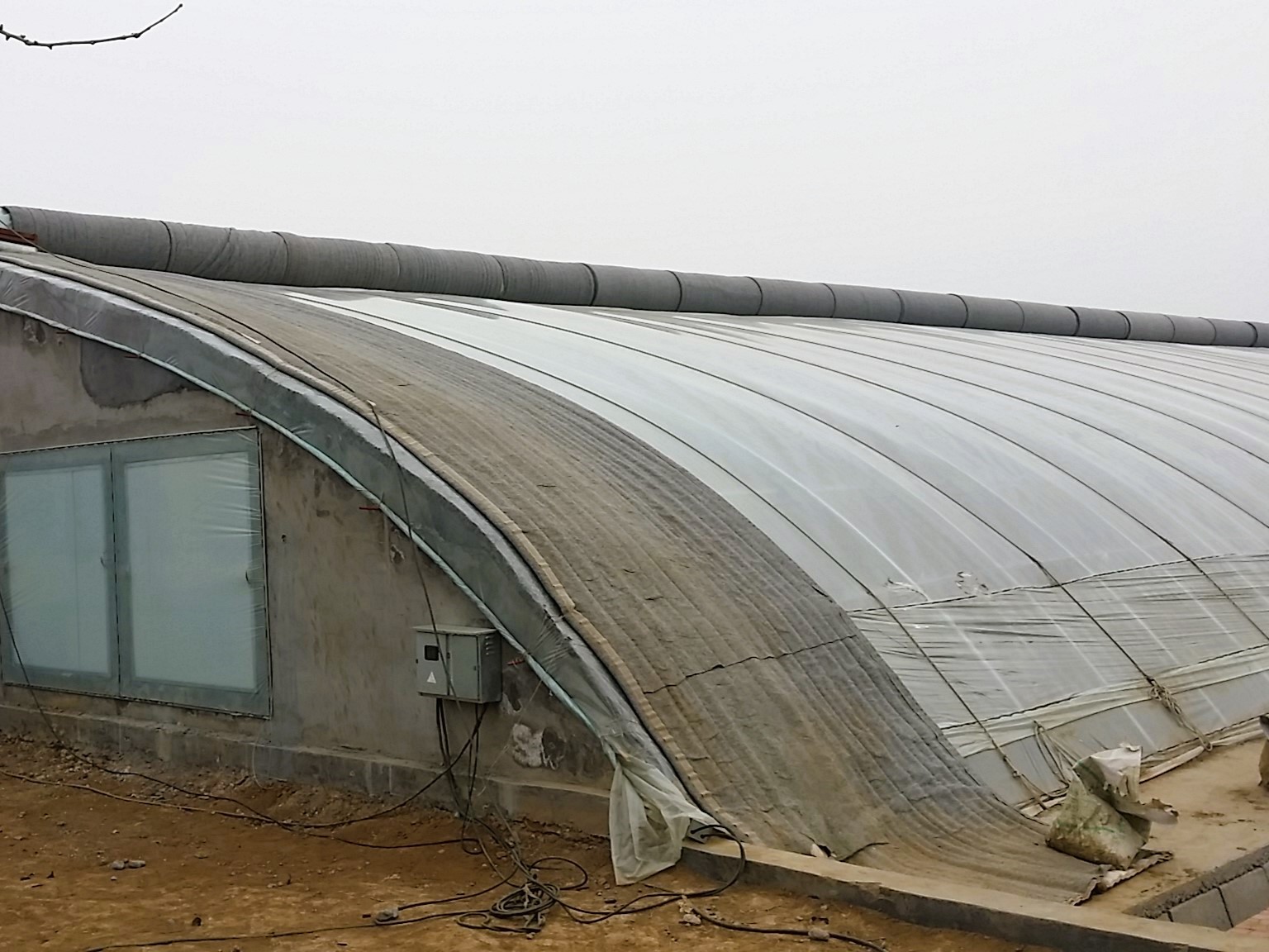 Plastic Film Solar Greenhouse For Tomato