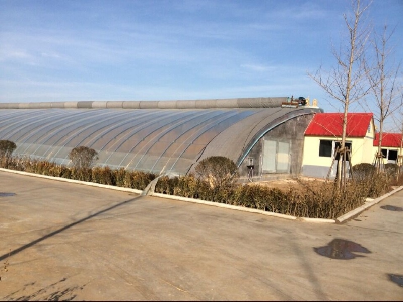 Plastic Film Solar Greenhouse For Tomato