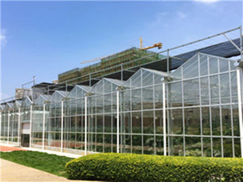 PC Sheet Side And Glass Roof Greenhouse