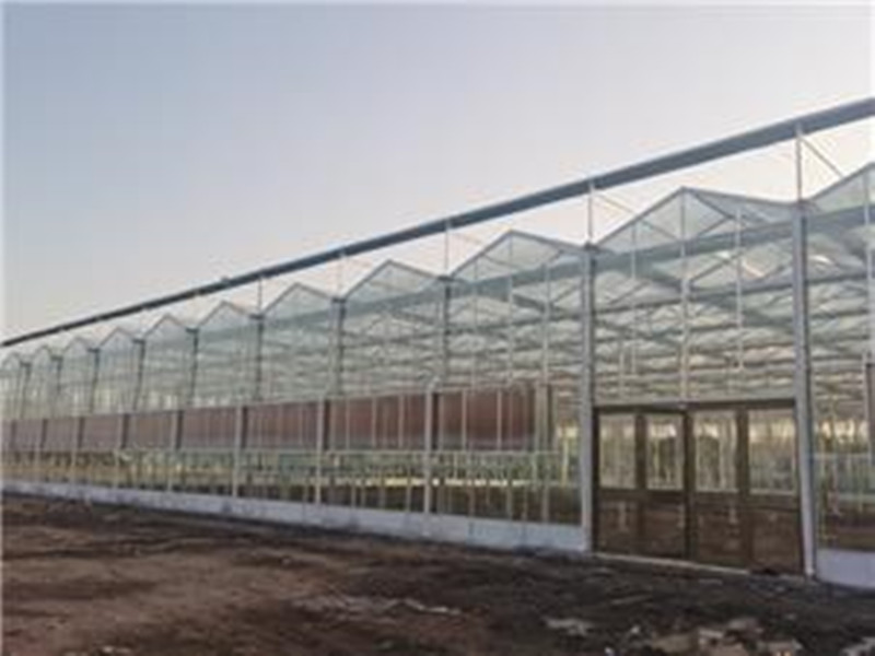 PC Sheet Side And Glass Roof Greenhouse