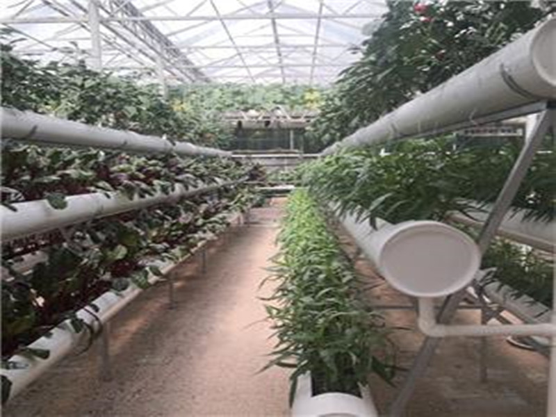 NFT Hydroponic Channel