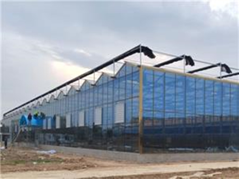 Commercial Glass Greenhouse With Irrigation System