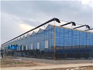 Commercial Glass Greenhouse With Irrigation System