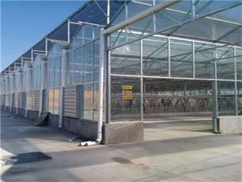 Photovoltaic Panel Glass Winter Greenhouse