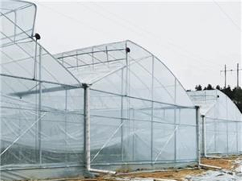 Single-span 4 Seasons Film Sawtooth Greenhouse