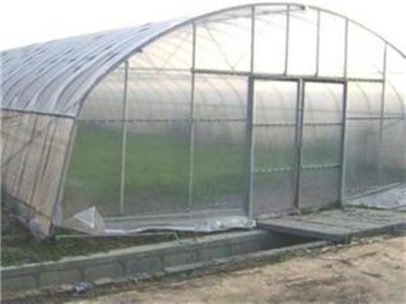 Grow Tunnel Film Greenhouse For Vegetables