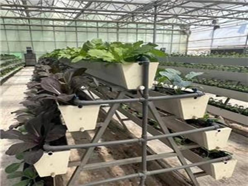 A Frame Farming Gutter NFT Hydroponic System