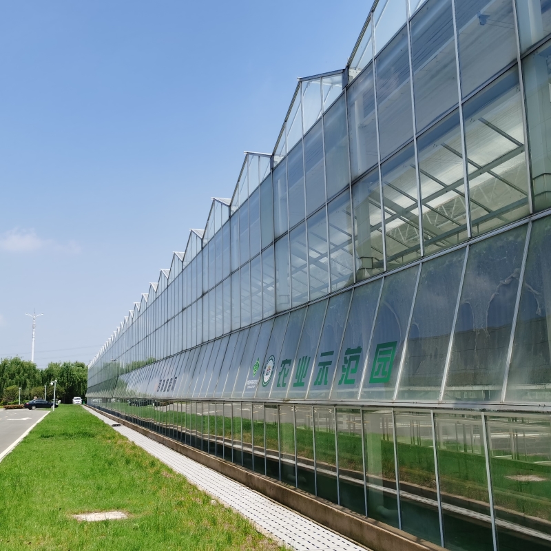 glass greenhouse