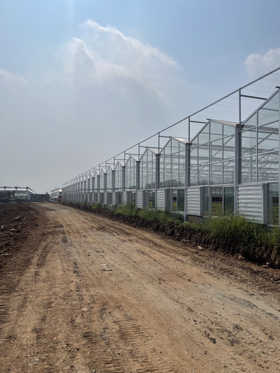 polyethylene film greenhouse