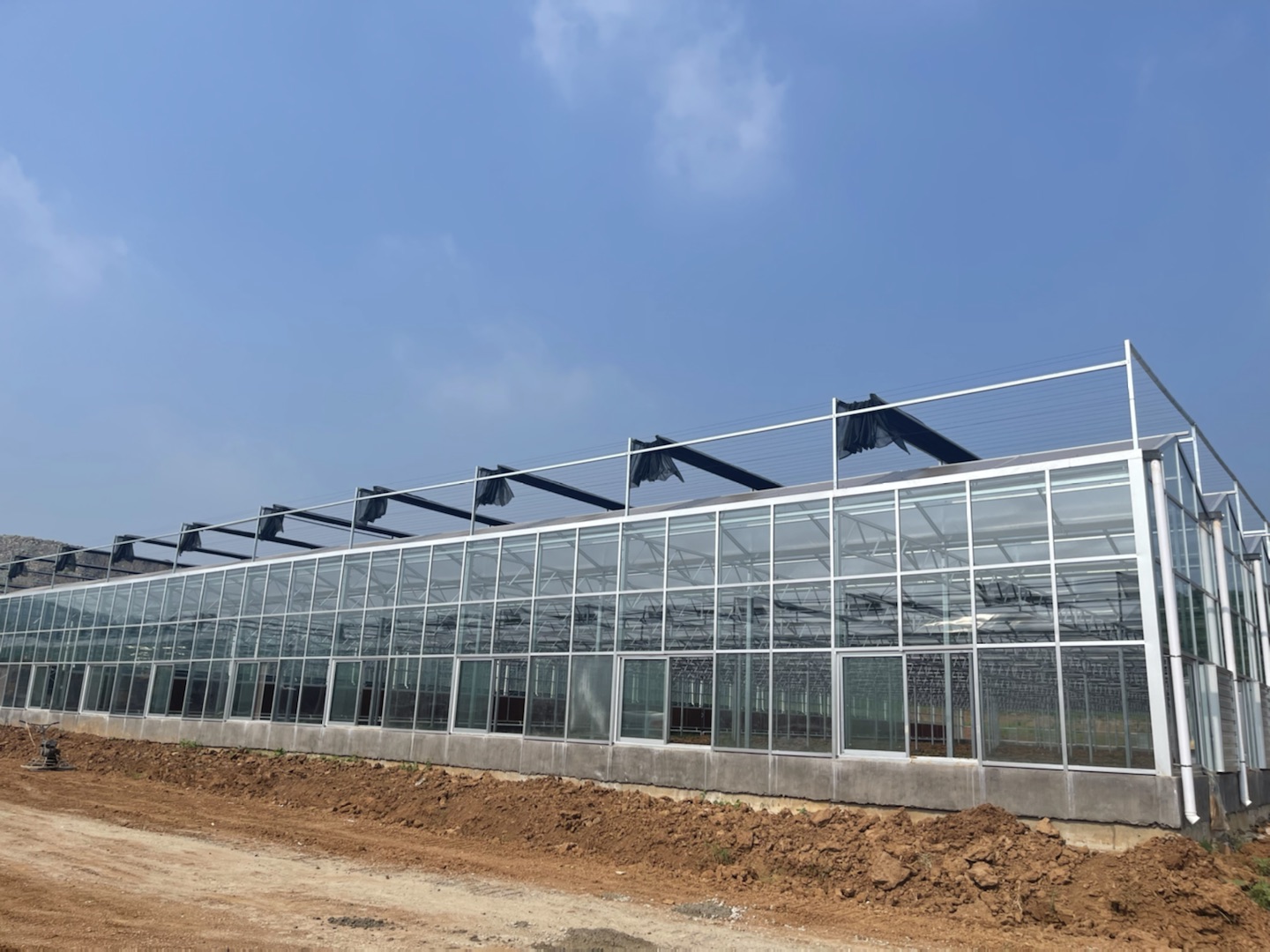 Commercial Greenhouse