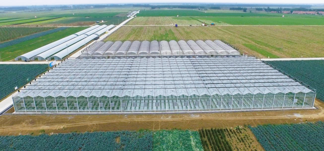 agriculture greenhouse