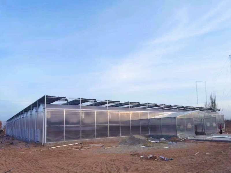 vegetable greenhouse