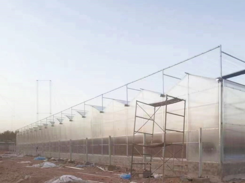 winter vegetable greenhouse