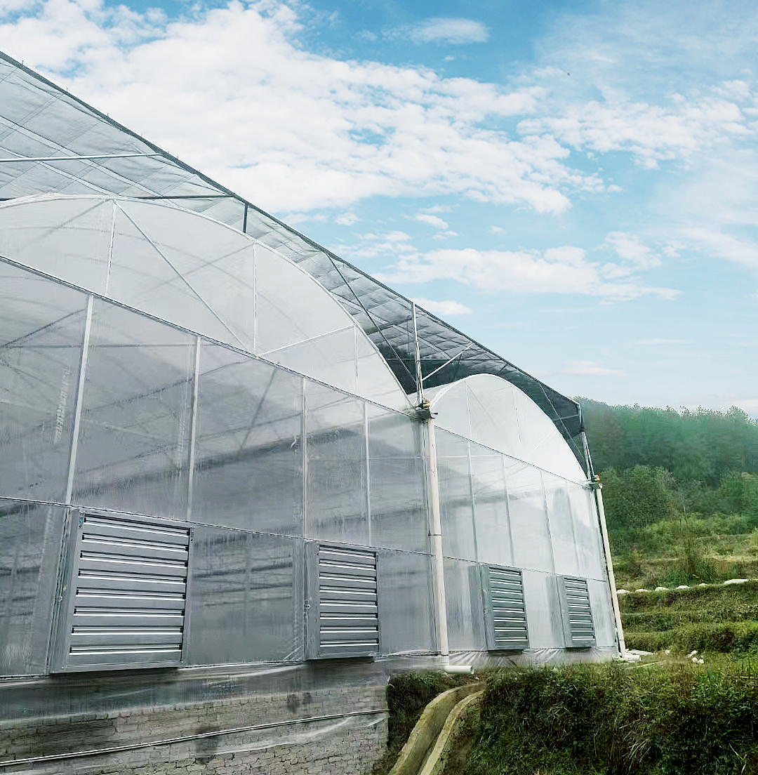 film greenhouse