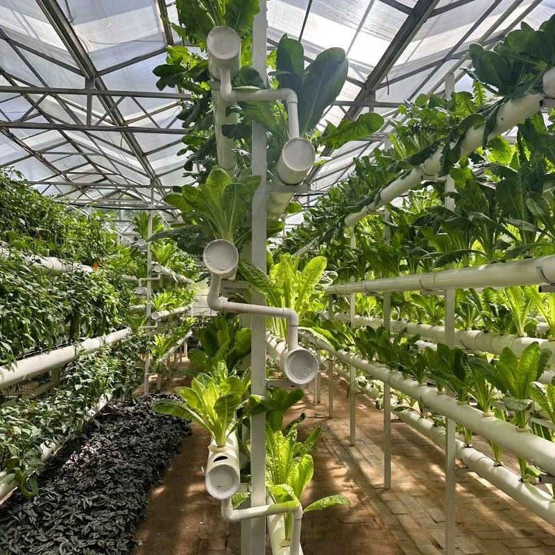 hydroponic system