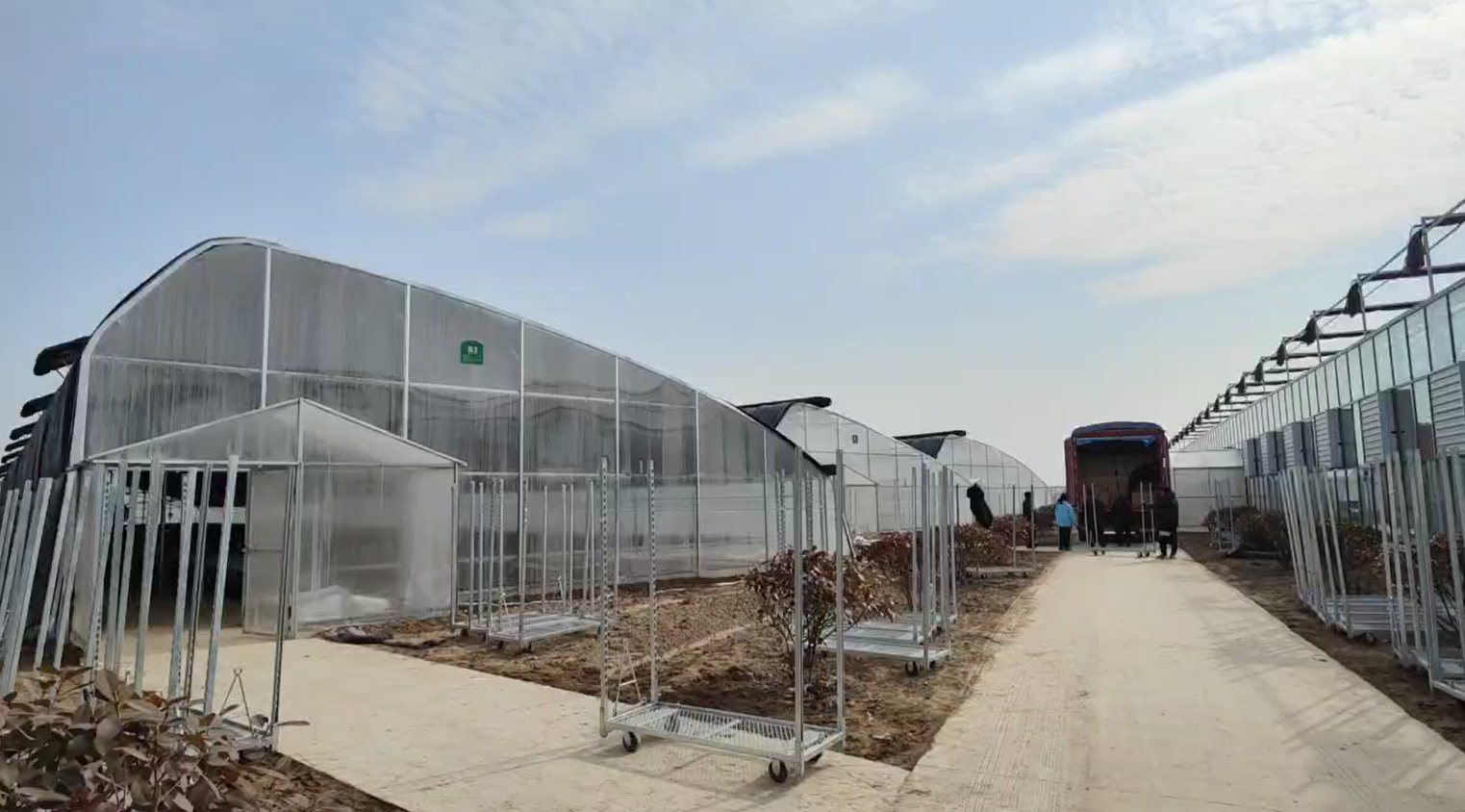 polytunnel greenhouse