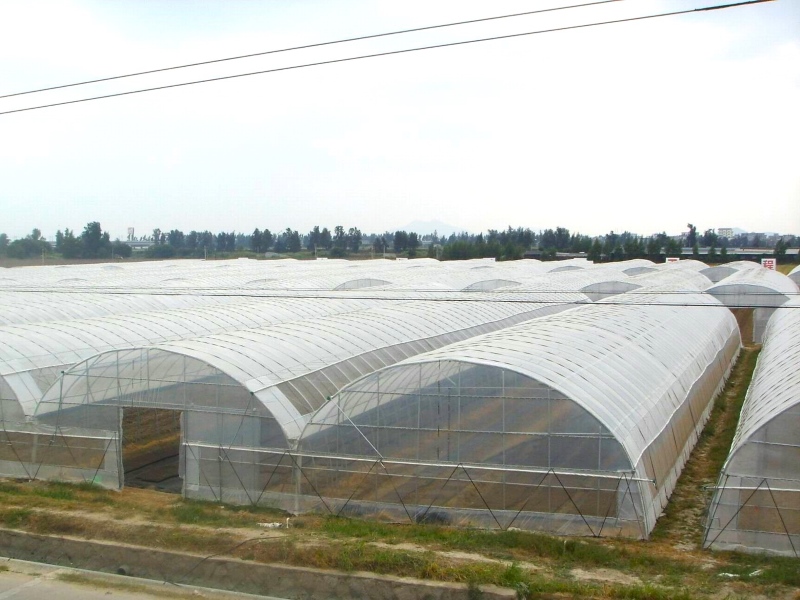 polytunnel greenhouse