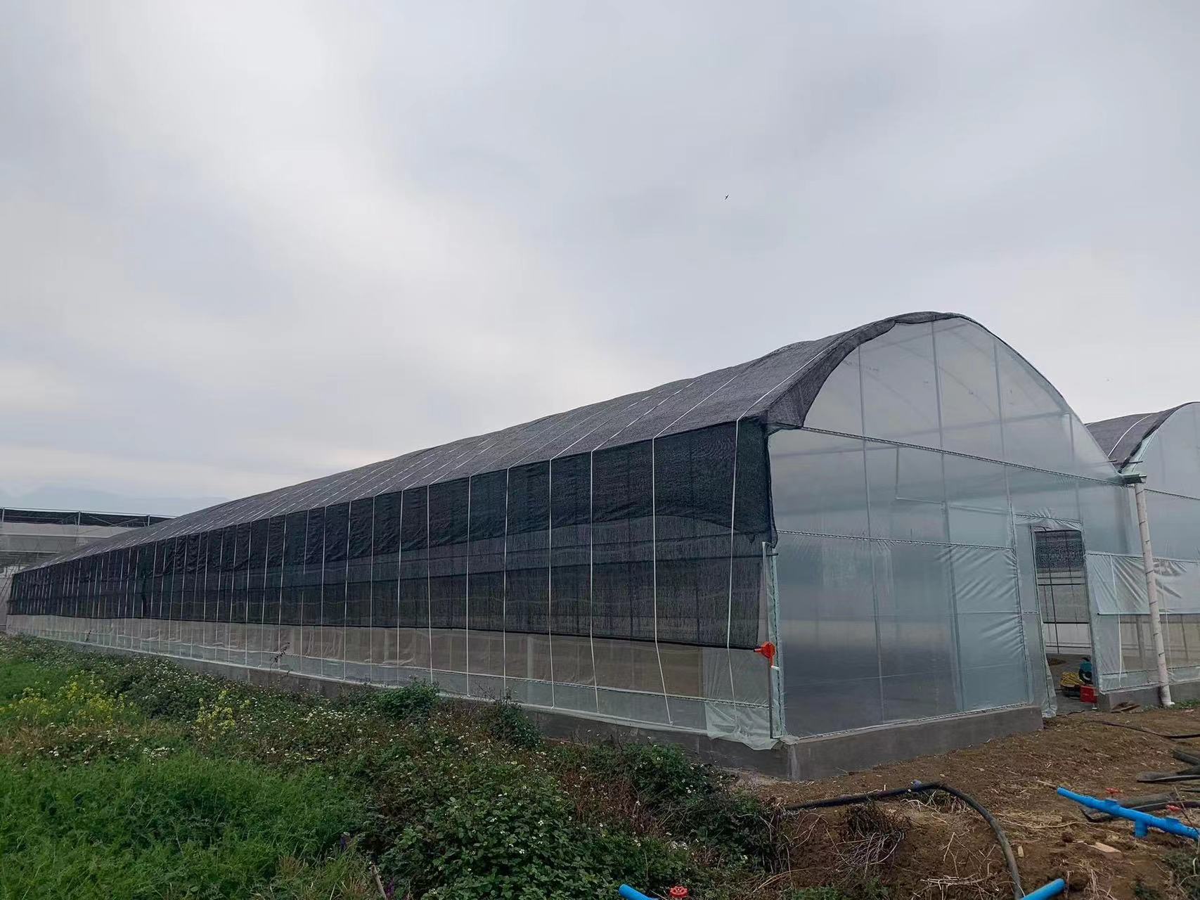 multi-storey film greenhouse