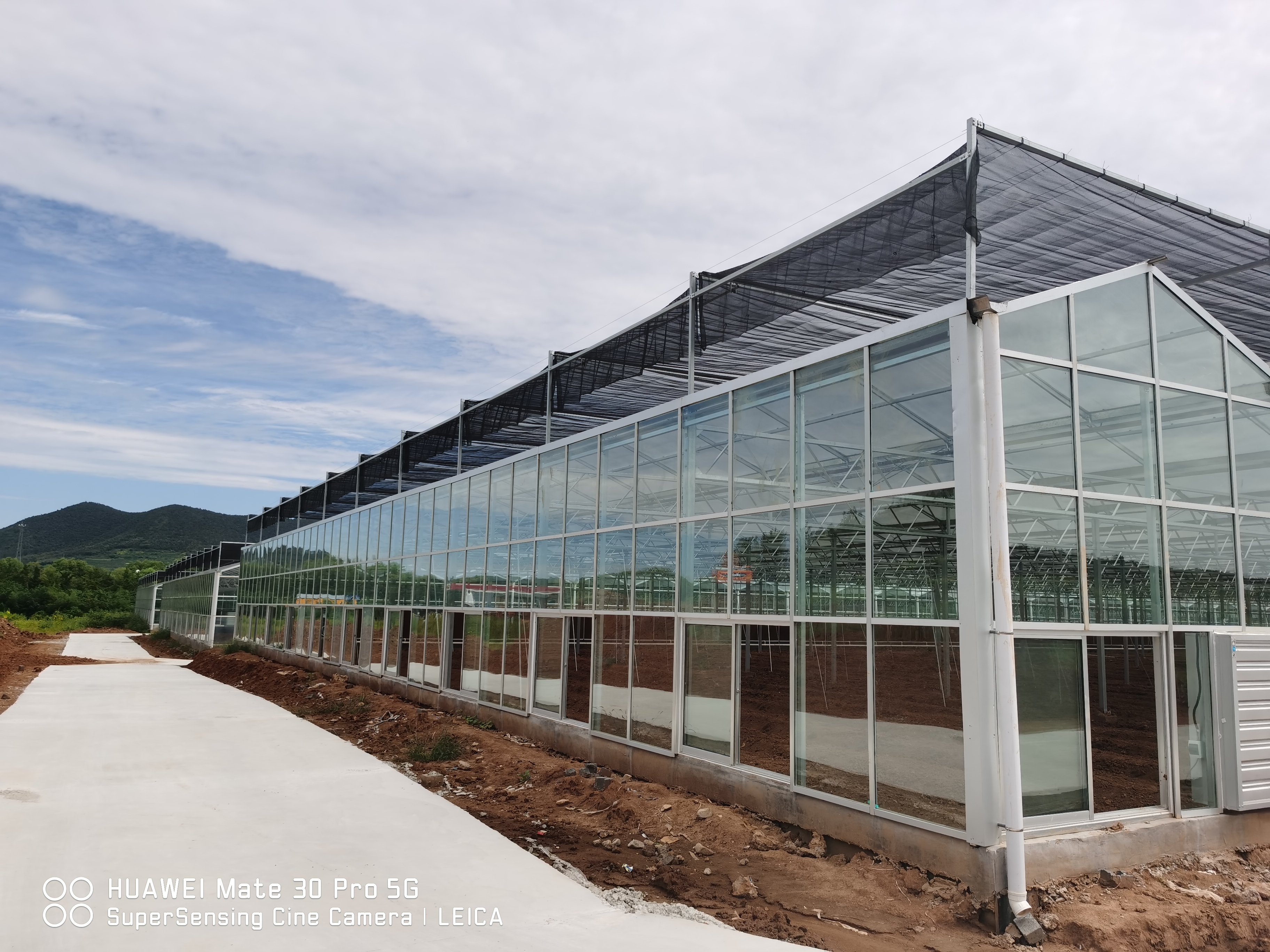 venluo glass greenhouse