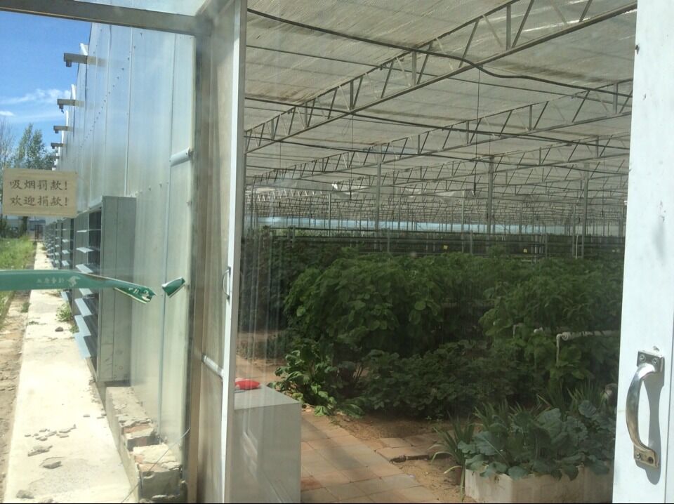 greenhouse