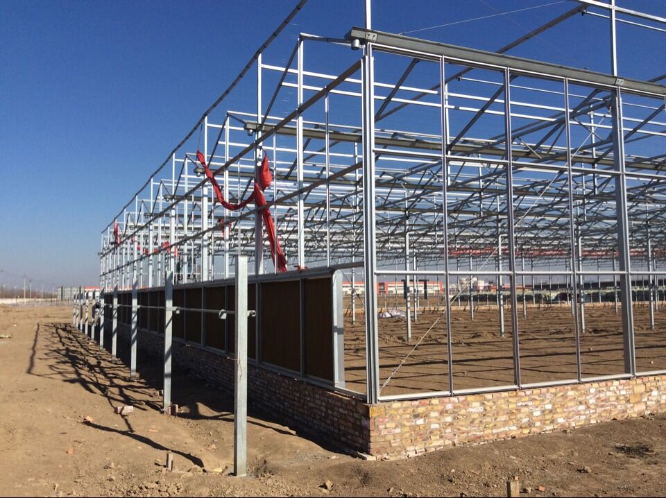 building a greenhouse