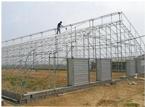 vegetable greenhouse