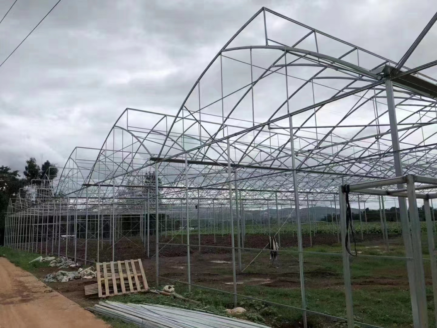 greenhouse skeleton