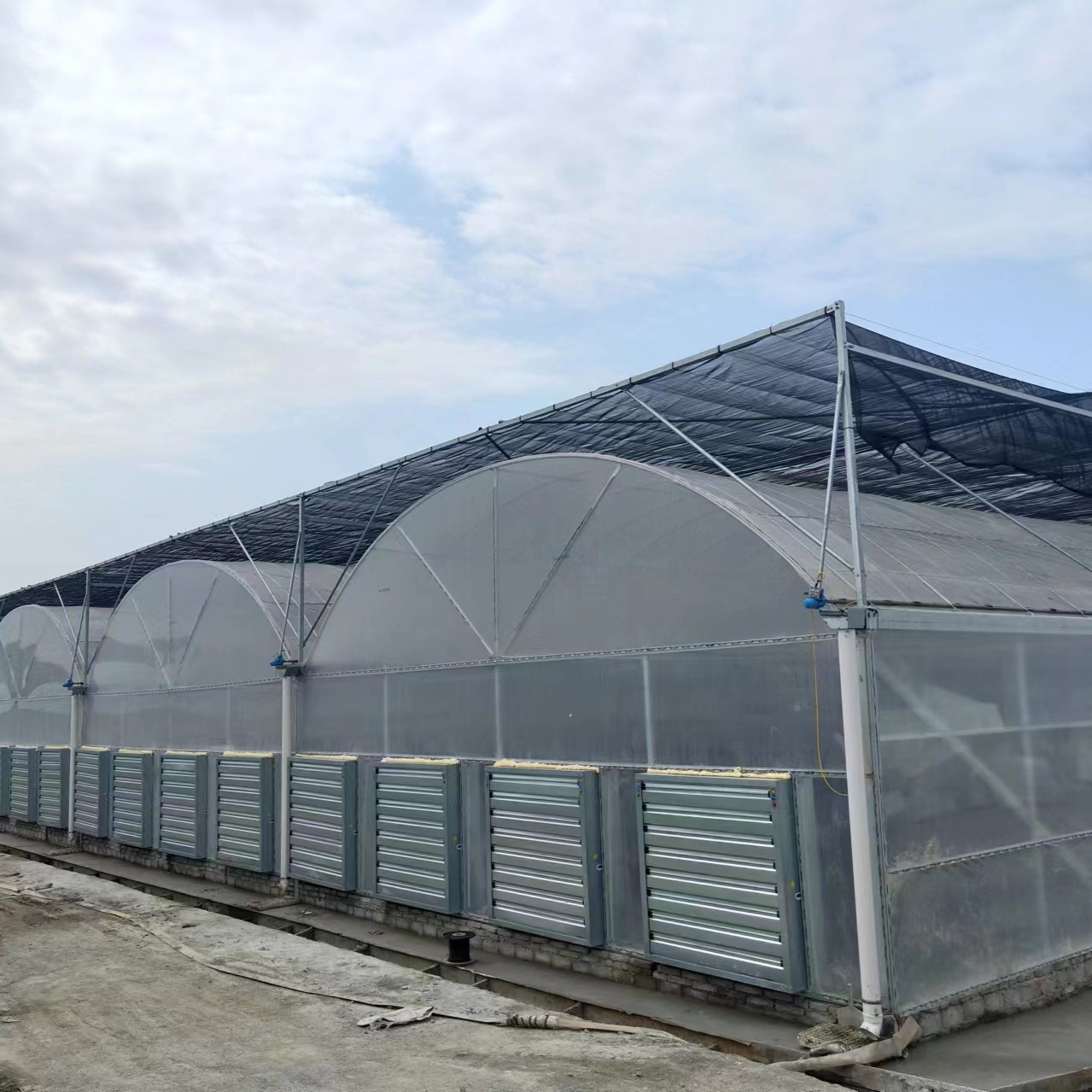 PE film greenhouse