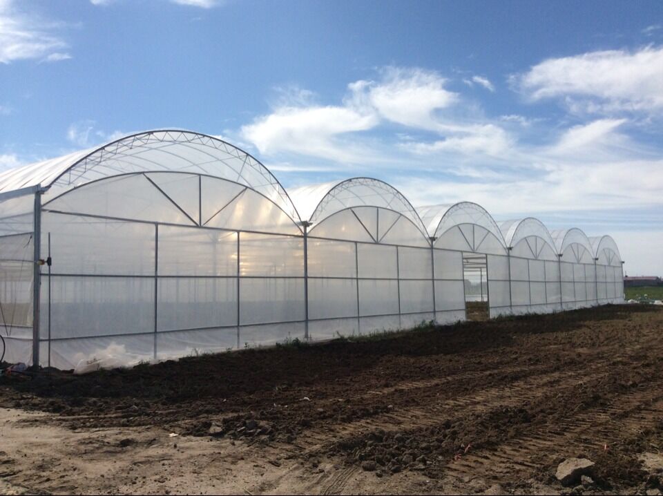 commercial greenhouse