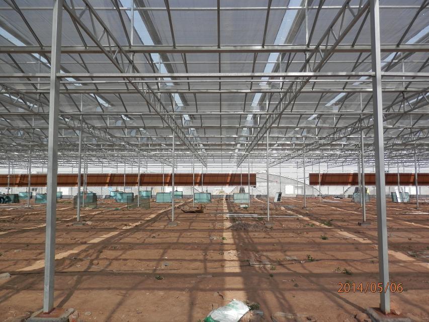 greenhouse floor