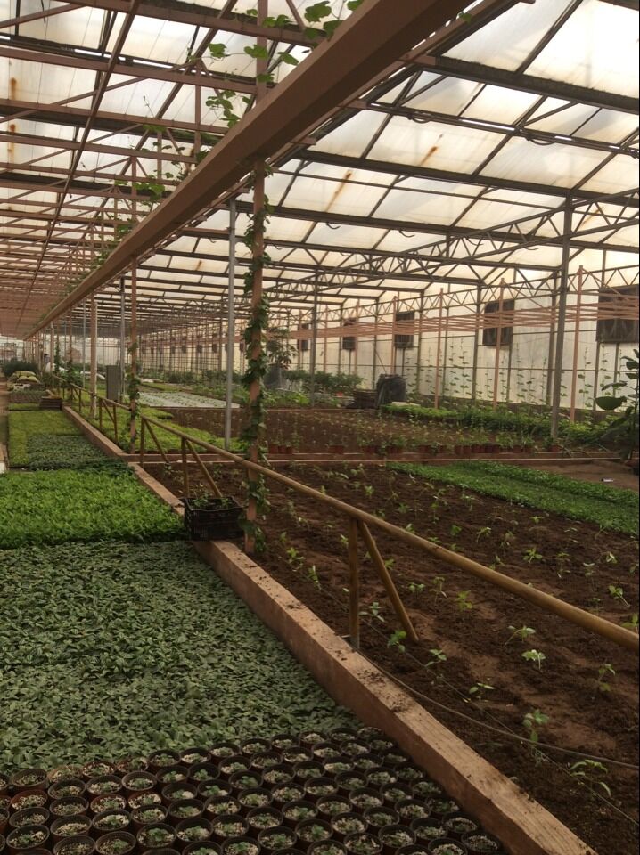 automated greenhouse