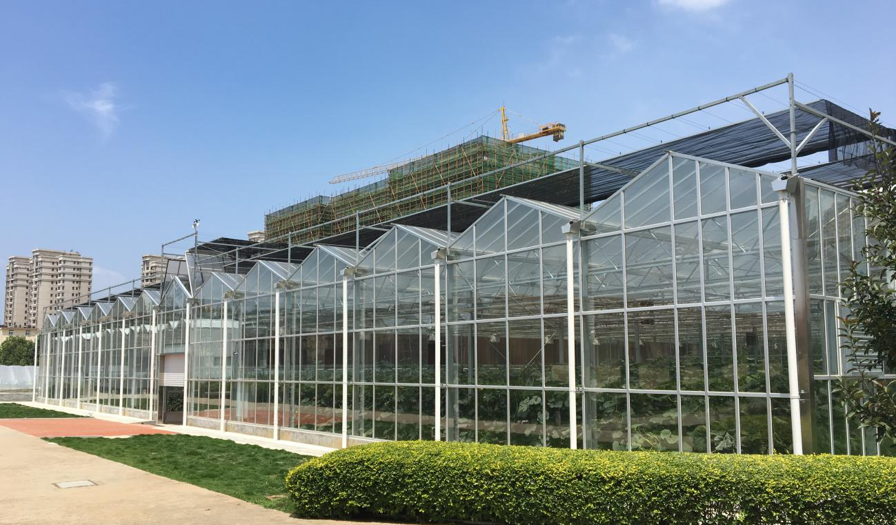 glass greenhouse