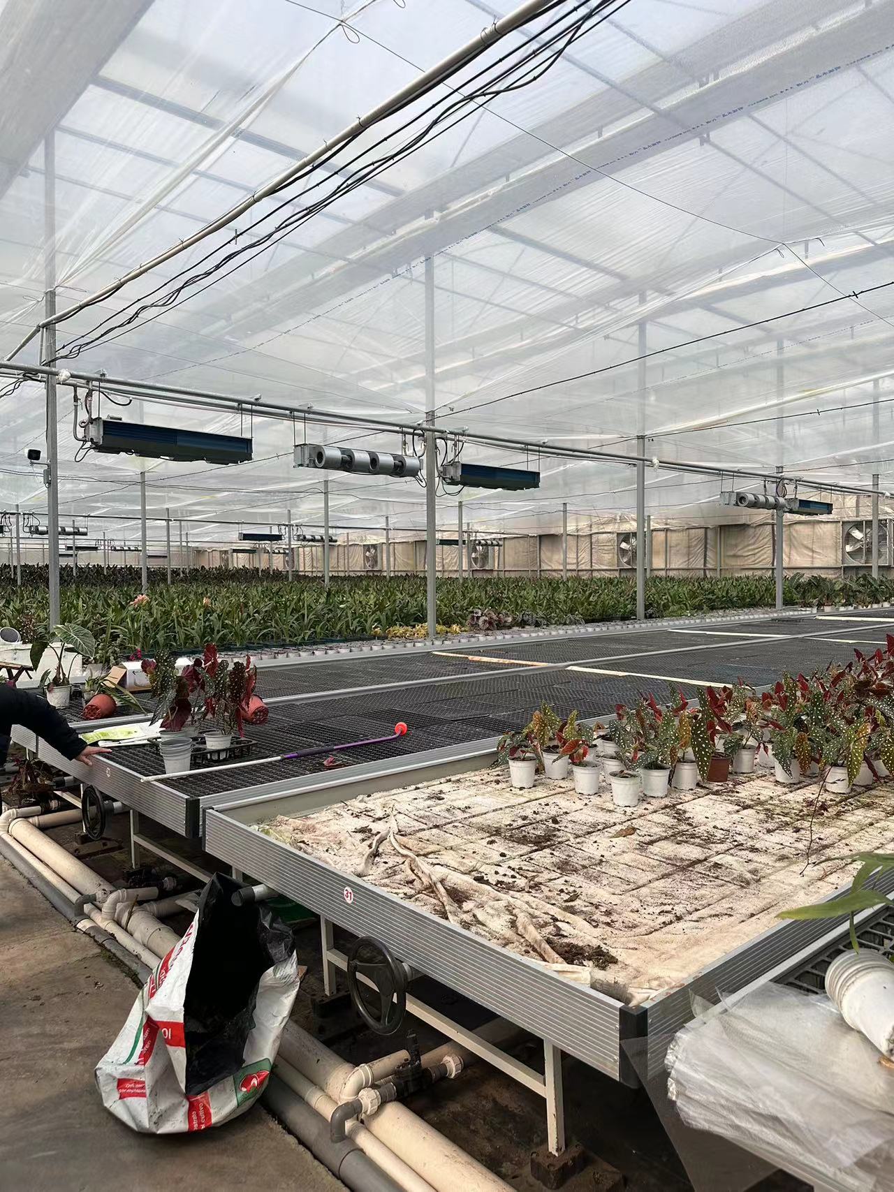 agriculture greenhouse