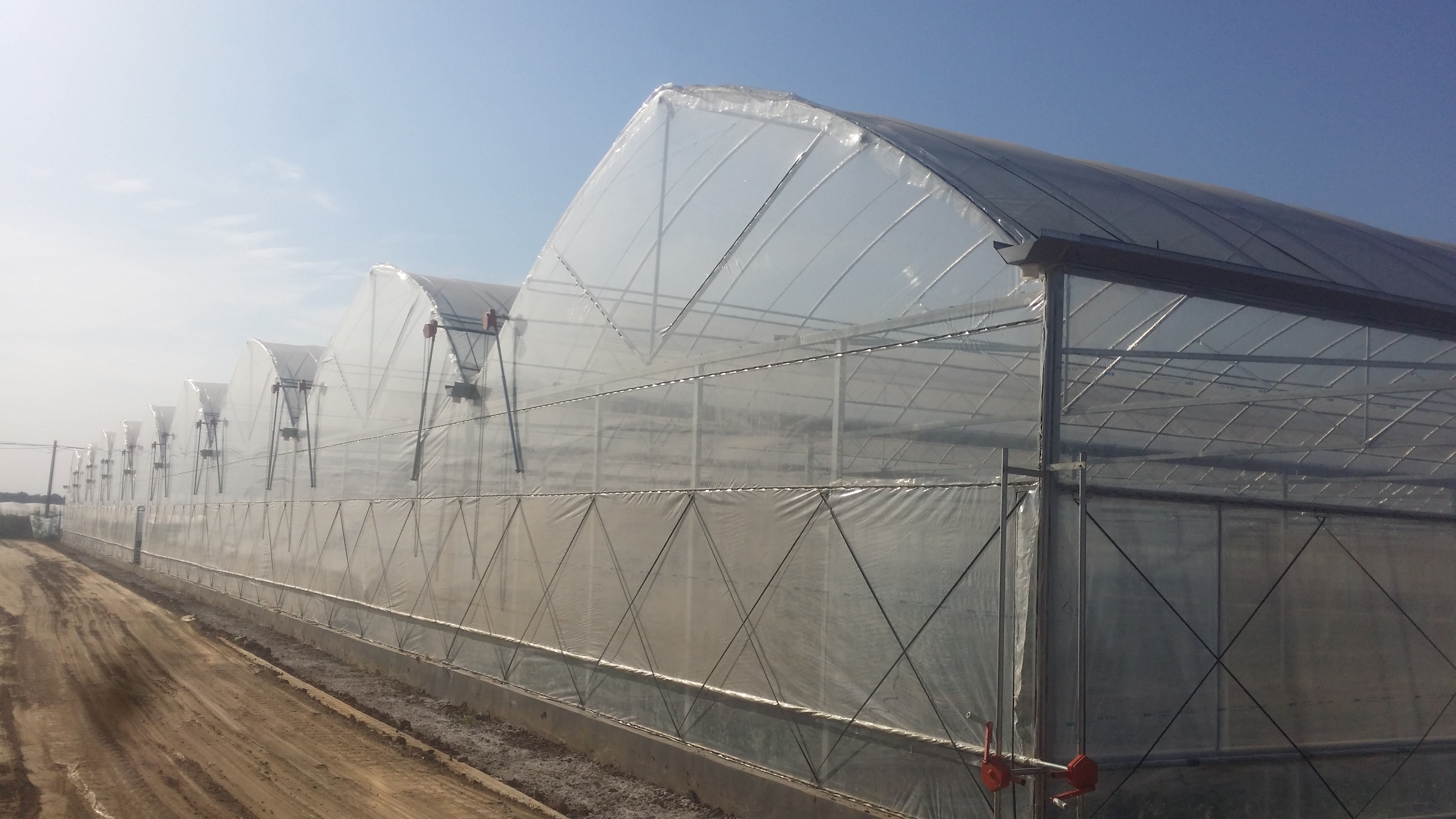 film greenhouse