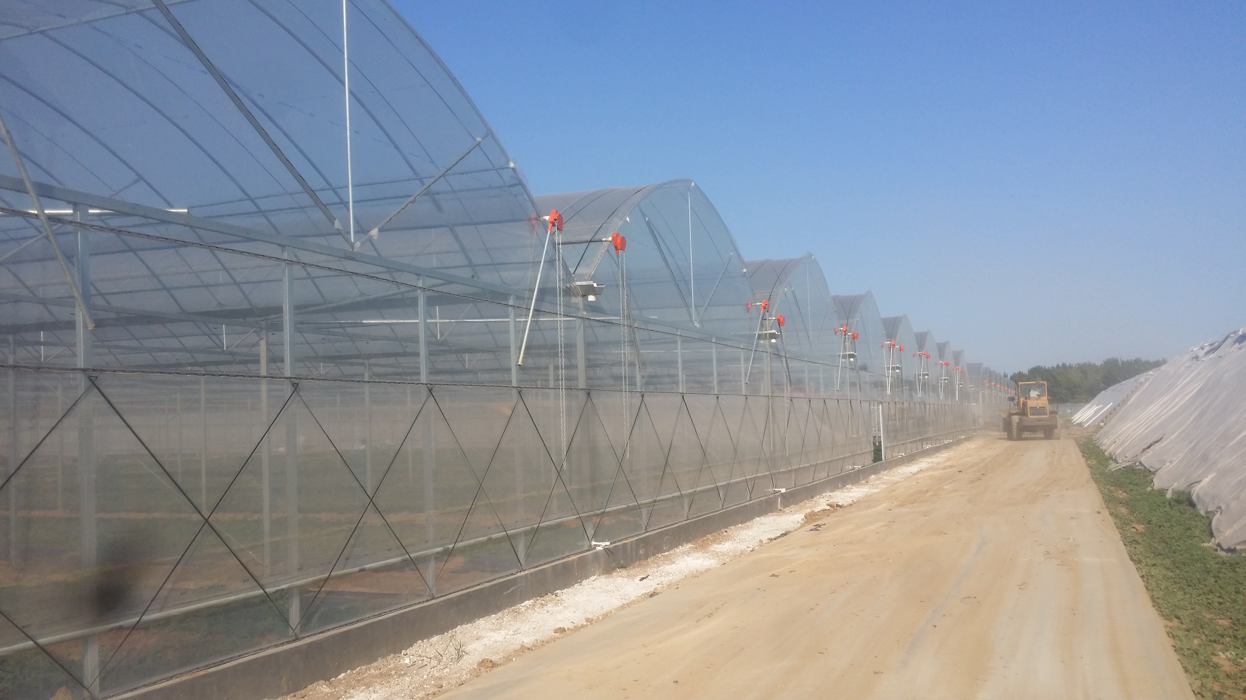 plastic film greenhouse