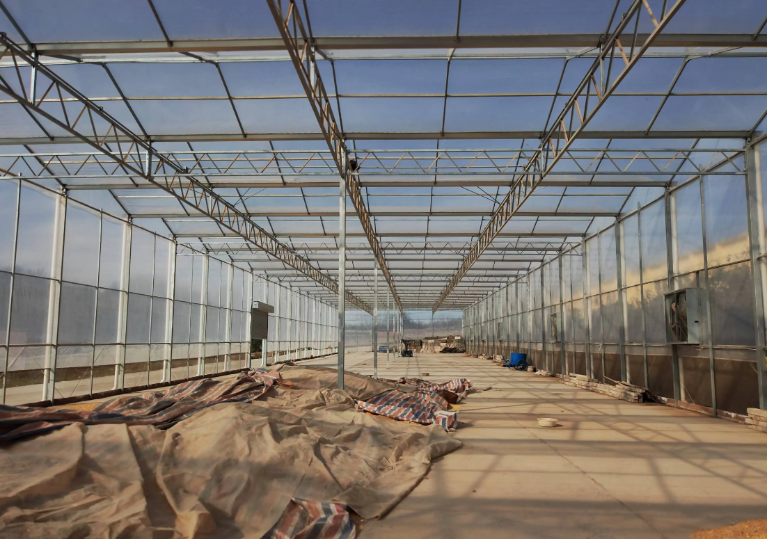 How should a greenhouse for growing orchids be constructed?