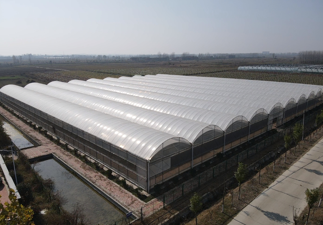 What Exactly is a Greenhouse?
