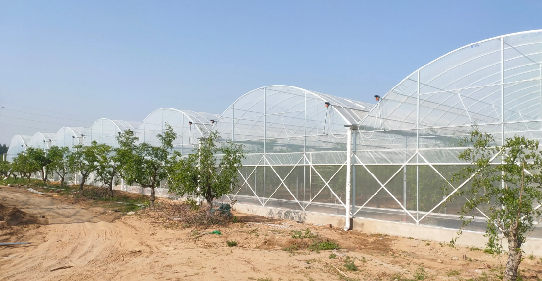 greenhouse