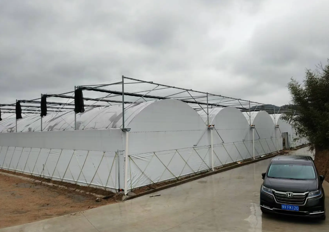 tunnel greenhouse