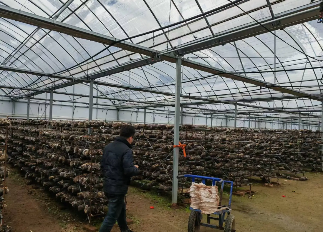 greenhouse