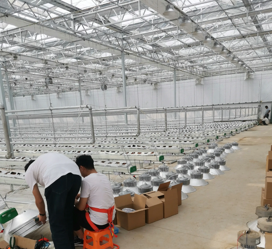 greenhouse light