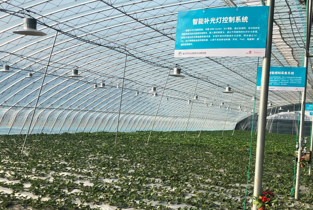 Is it necessary to install grow lights in the greenhouse?