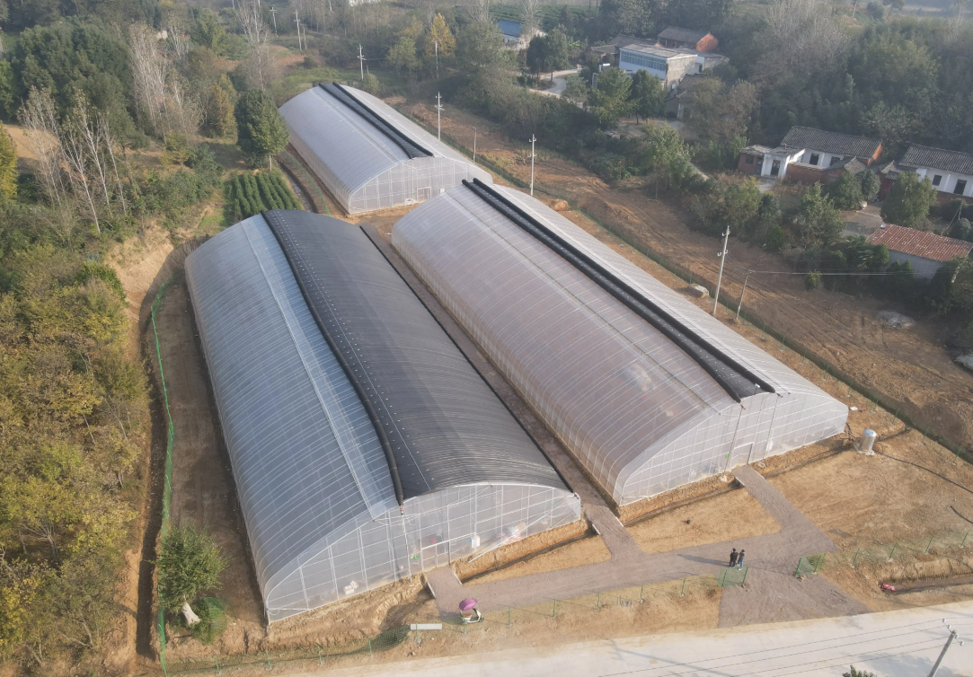 greenhouse