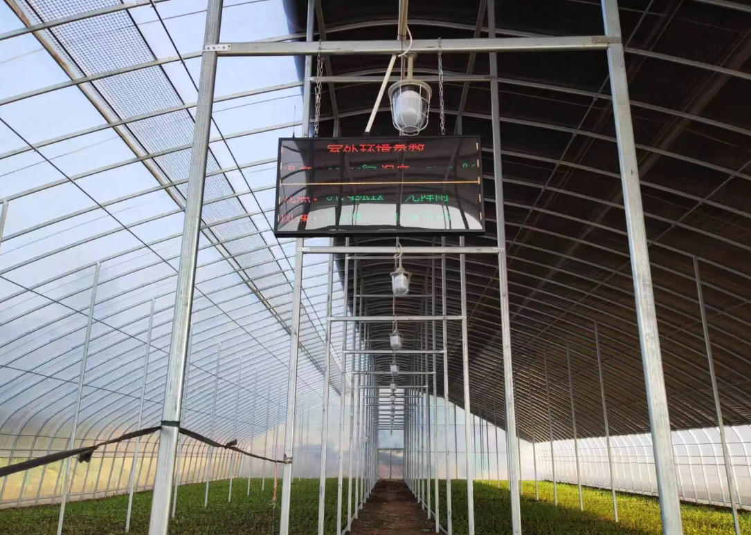 How to enhance the wind resistance of greenhouse
