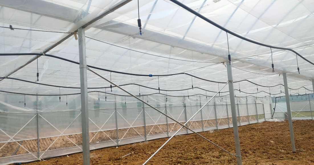 Agriculture Greenhouse