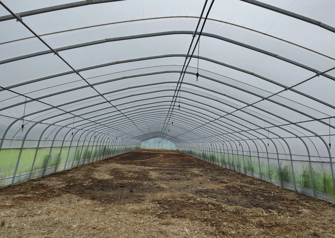 Drip irrigation
